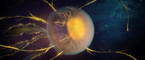 SINGULARITY - Painterly Space Adventure, 00:52