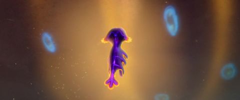 SINGULARITY - Painterly Space Adventure, 02:05