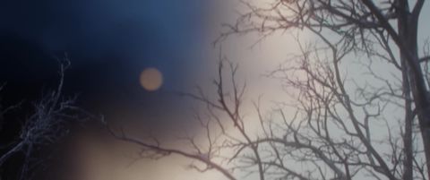 Spring - Blender Open Movie, 06:04