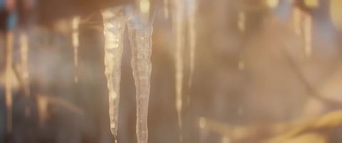 Spring - Blender Open Movie, 06:07