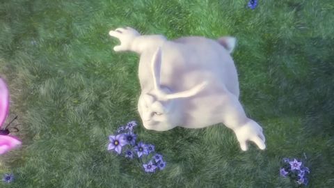 Big Buck Bunny, 01:15