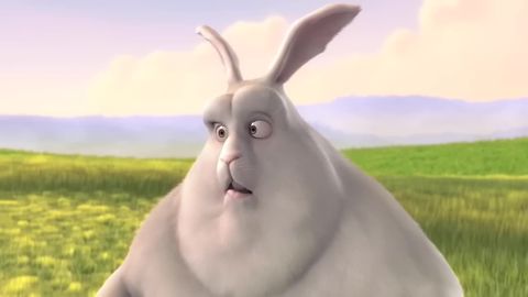 Big Buck Bunny, 03:40