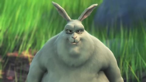 Big Buck Bunny, 07:07