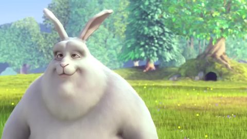 Big Buck Bunny, 07:52