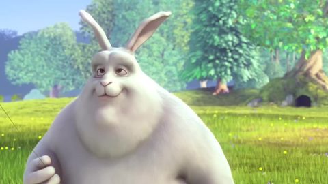 Big Buck Bunny, 08:06