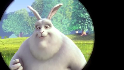 Big Buck Bunny, 08:08