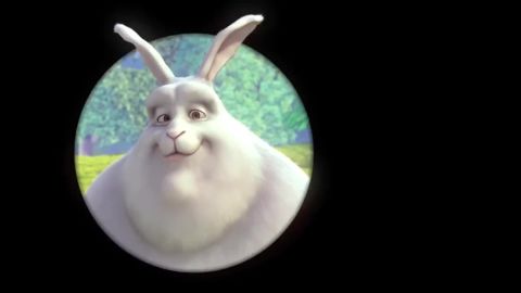 Big Buck Bunny, 08:08