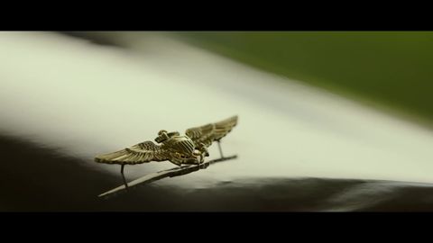 Lady Gaga - Hold My Hand (From “Top Gun: Maverick”) [Official Music Video], 02:47