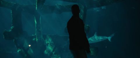 Imagine Dragons - Sharks (Official Music Video), 03:10