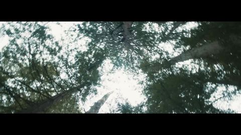 Rachel Platten - Fight Song (Official Video), 01:53